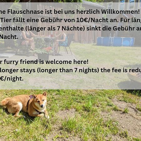 H1 - Urlaubsmagie - Pool & Terrasse Zum Entspannen Sebnitz Dış mekan fotoğraf