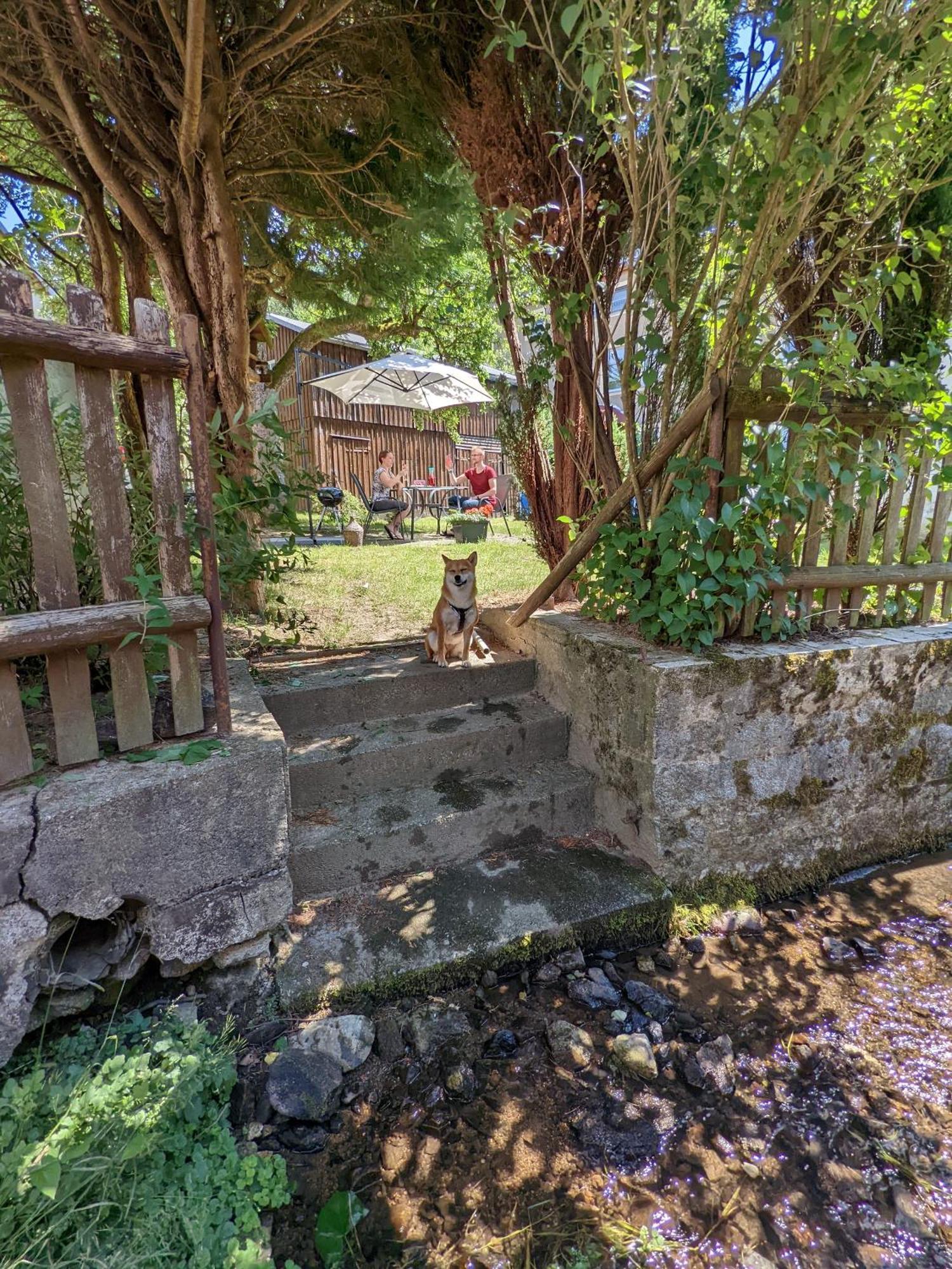 H1 - Urlaubsmagie - Pool & Terrasse Zum Entspannen Sebnitz Dış mekan fotoğraf