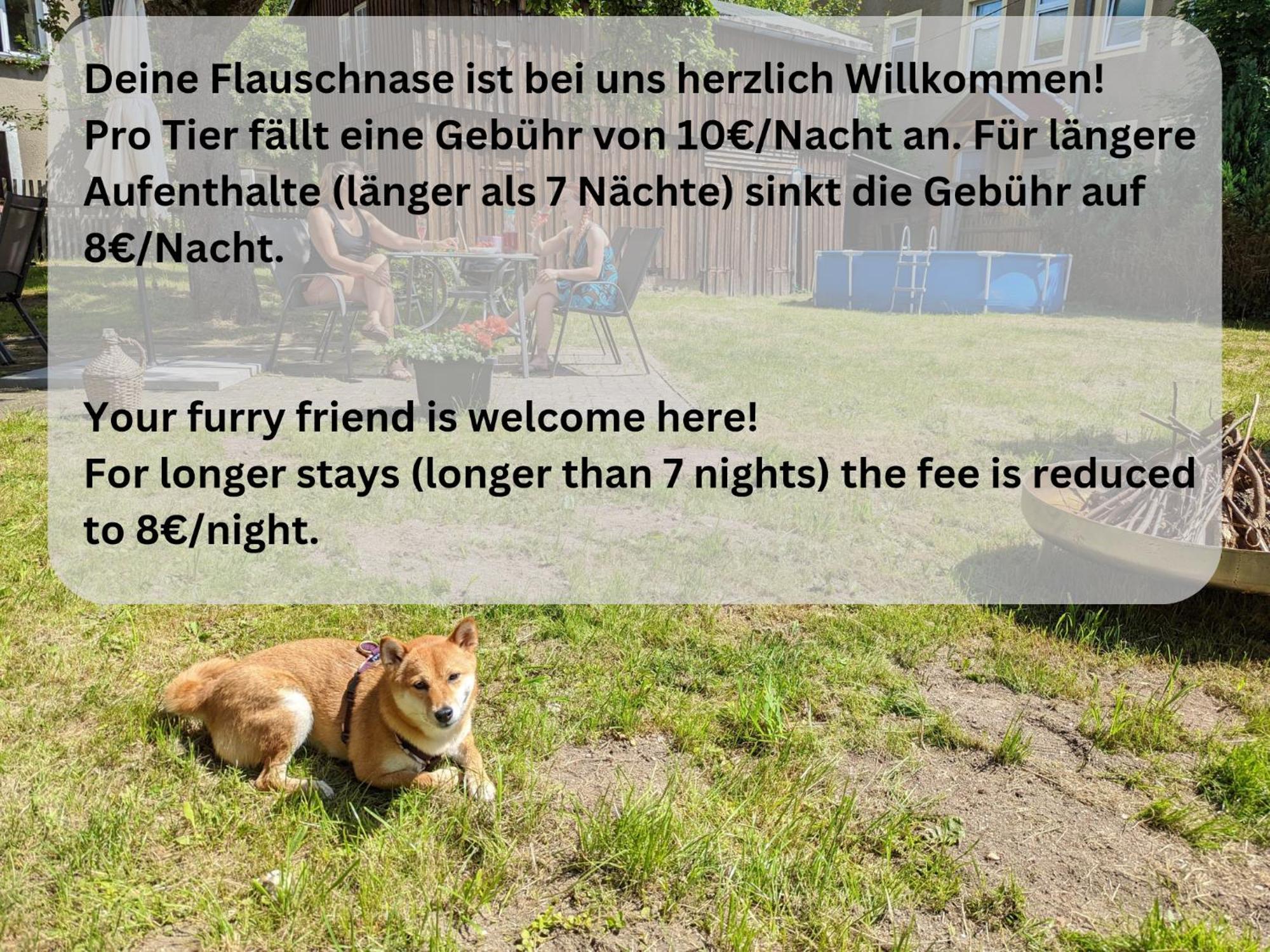 H1 - Urlaubsmagie - Pool & Terrasse Zum Entspannen Sebnitz Dış mekan fotoğraf